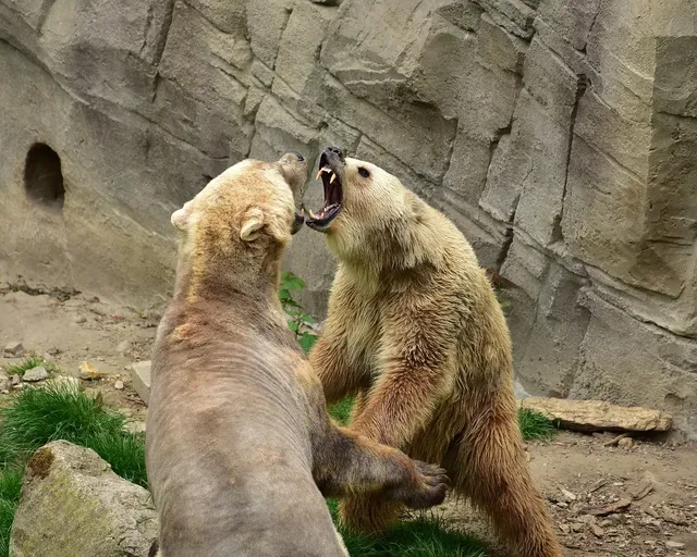 Furious